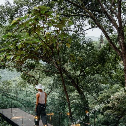 贵州黄果树+万峰林景区+马岭河峡谷+荔波小七孔景区+西江千户苗寨+梵净山+赤水+遵义8日7晚私家团