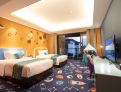 room overview picture