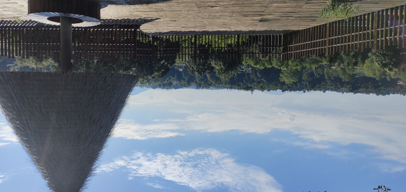 Fog tea manor inn Over view