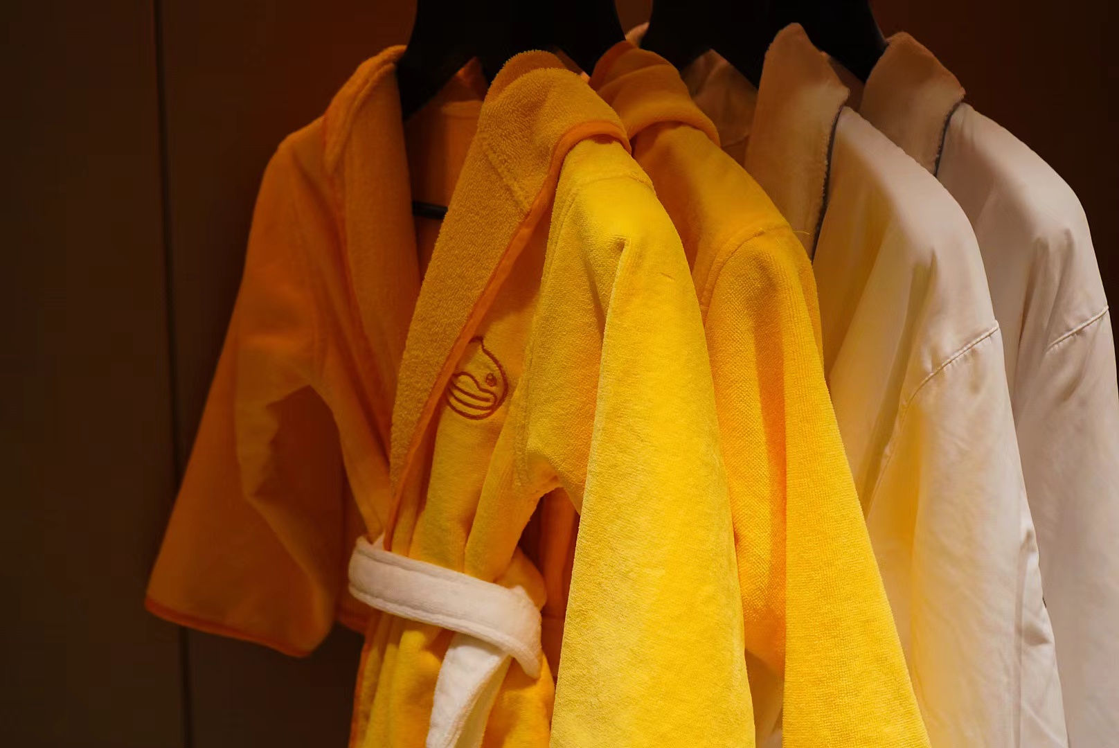 Hotel Chevalier Robe