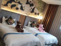room overview picture