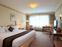 room overview picture