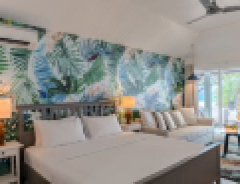 room overview picture