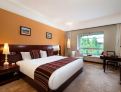 room overview picture