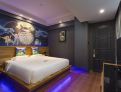 room overview picture
