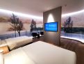 room overview picture