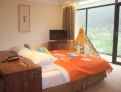 room overview picture