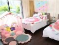 room overview picture