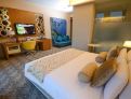 room overview picture