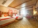 room overview picture