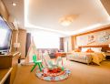 room overview picture