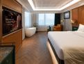 room overview picture