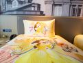 room overview picture
