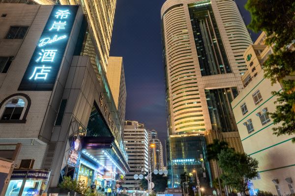 希岸deluxe酒店深圳国贸地铁站店