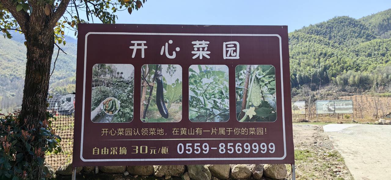 黄山途居露营地图片