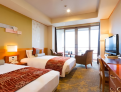room overview picture