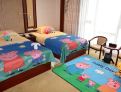 room overview picture