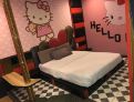 room overview picture