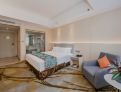 room overview picture