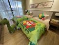 room overview picture