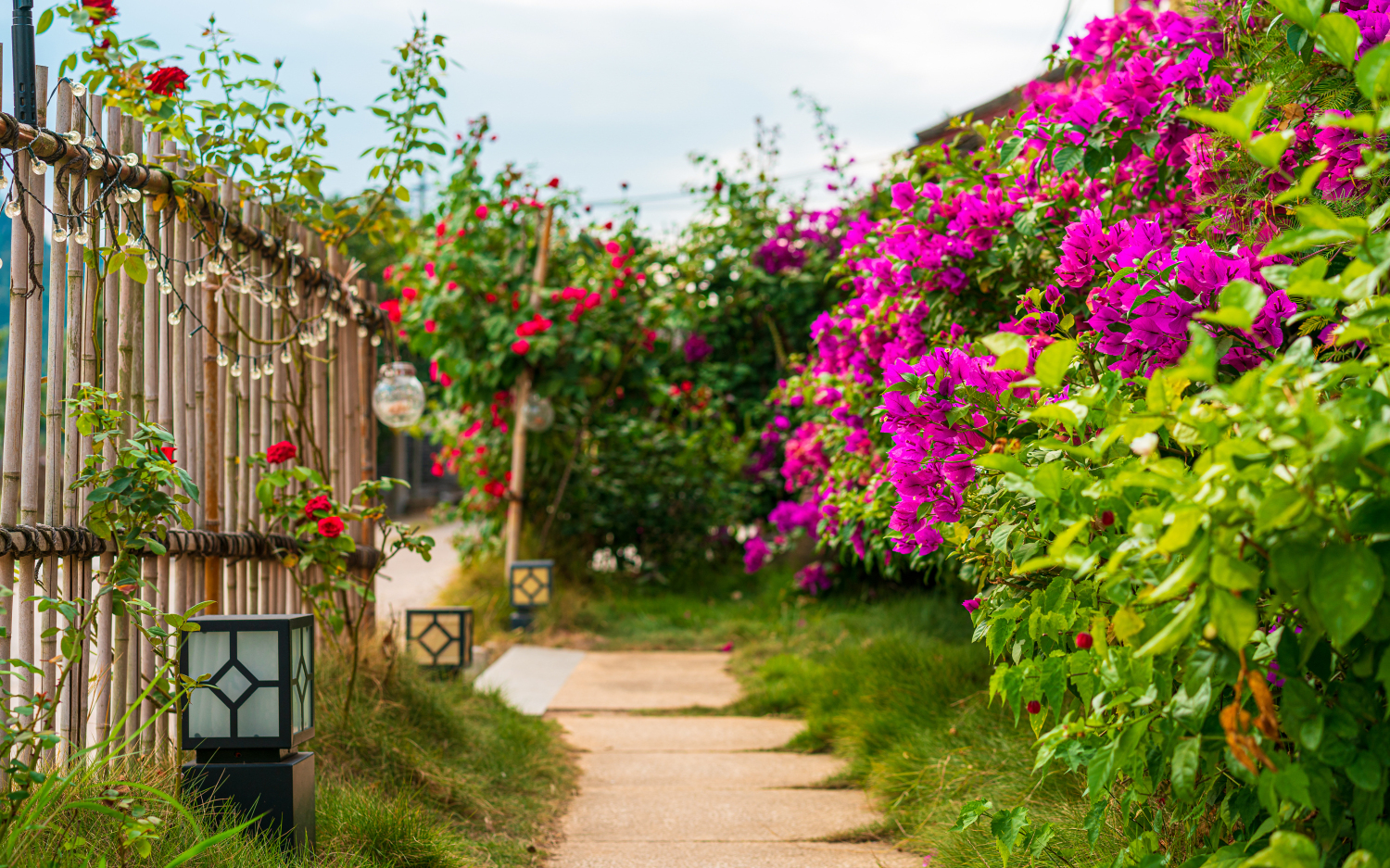 Yangshuo Yuchishe Homestay (Yulonghe Zhuyu Drifting Jinlong Bridge Wharf) Over view