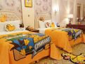 room overview picture