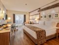 room overview picture