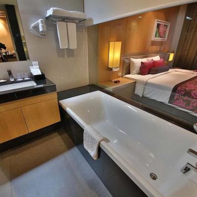 Deluxe Plus Double or Twin Room
