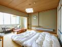 room overview picture