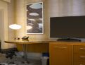 room overview picture