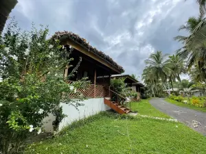 雨林度假村(Rainforest Resort)