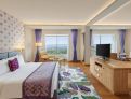 room overview picture