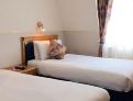 room overview picture