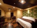room overview picture