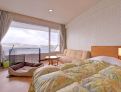 room overview picture