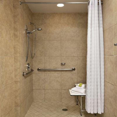 Mobility Accessible King Room with Roll In Shower