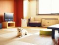 room overview picture