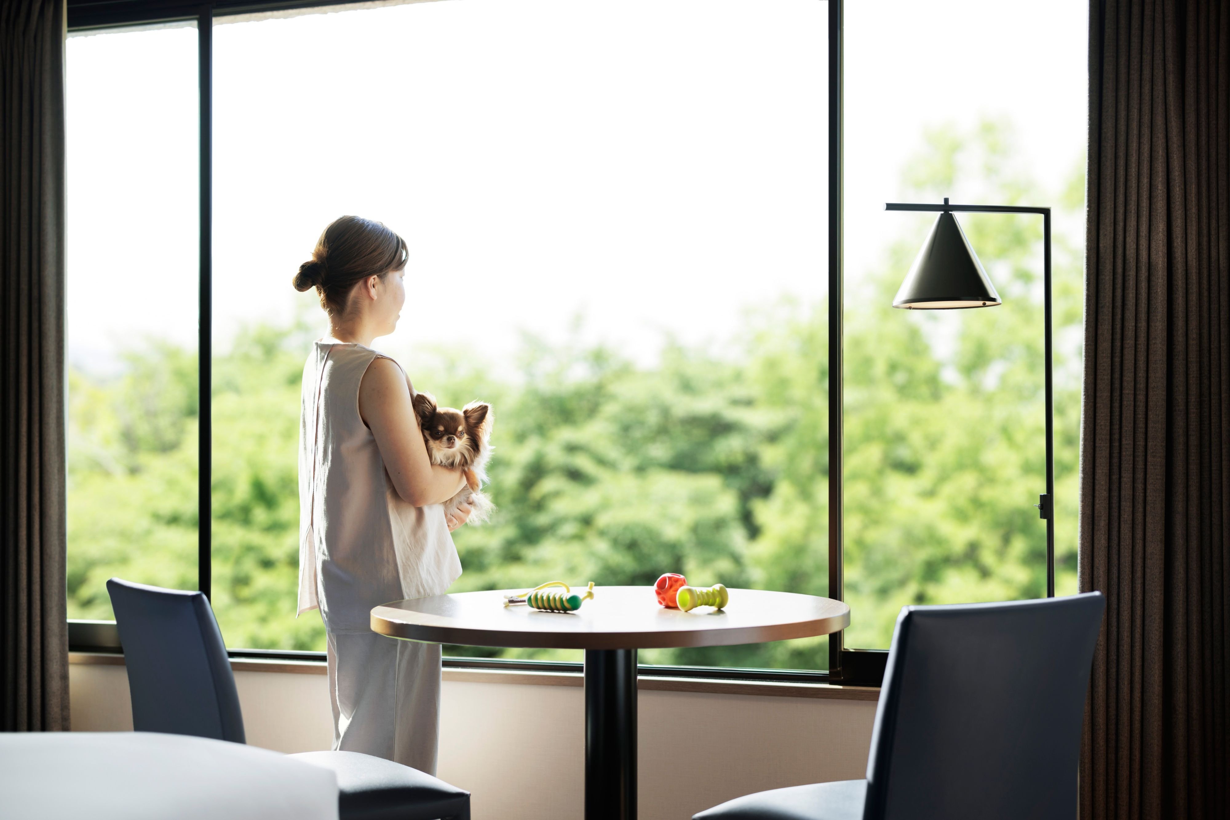 What Marriotts Are Dog Friendly