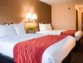 room overview picture