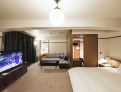 room overview picture