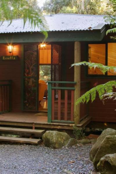 Springbrook Lyrebird Retreat