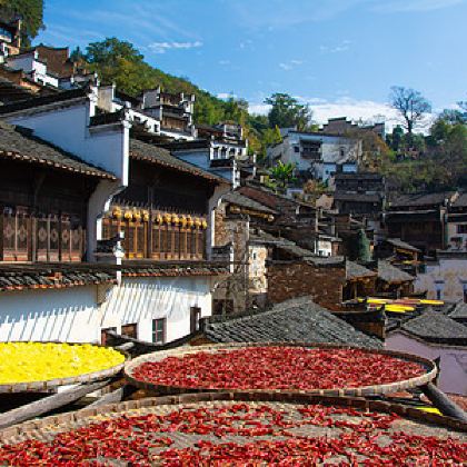 婺源+龙虎山2日1晚跟团游