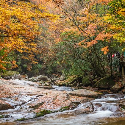 光雾山+米仓山国家森林公园+三星堆博物馆+阆中古城5日4晚跟团游