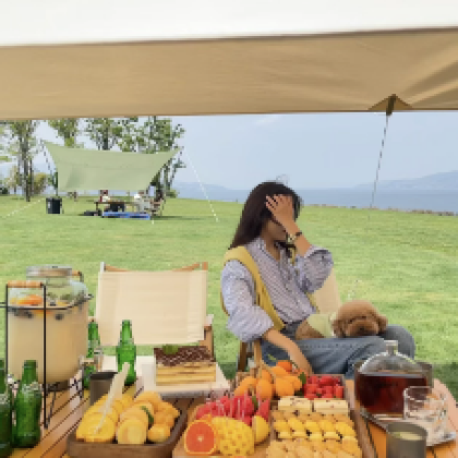 昭苏夏塔旅游区+琼库什台+喀拉峻景区+赛里木湖4日3晚跟团游