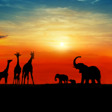 博茨瓦纳奥卡万戈三角洲+纳米比亚+赞比亚+南非+津巴布韦20日16晚跟团游 博茨瓦纳奥卡万戈三角洲+纳米比亚+赞比亚+南非+津巴布韦20日16晚跟团游