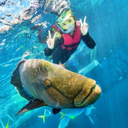 澳大利亚悉尼+墨尔本+道格拉斯港10日9晚自由行 澳大利亚悉尼+墨尔本+道格拉斯港10日9晚自由行