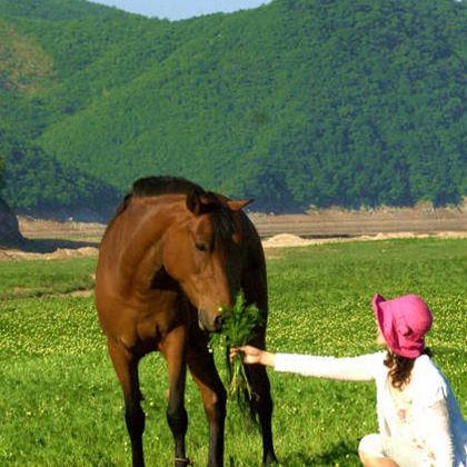 丹东+绿江村2日1晚跟团游 丹东+绿江村2日1晚跟团游