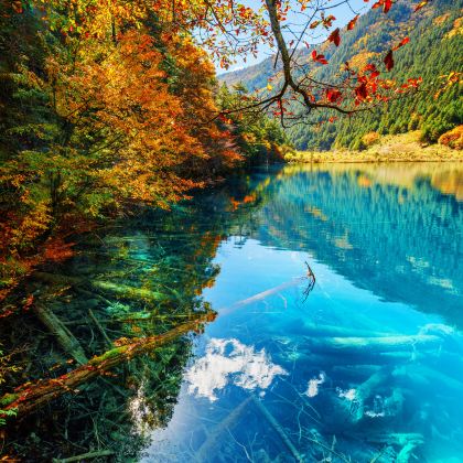 乐山+峨眉山+九寨沟+黄龙风景名胜区+都江堰+成都大熊猫繁育研究基地+三星堆博物馆8日7晚私家团 乐山+峨眉山+九寨沟+黄龙风景名胜区+都江堰+成都大熊猫繁育研究基地+三星堆博物馆8日7晚私家团