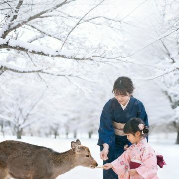 日本大阪+京都5日4晚私家团 日本大阪+京都5日4晚私家团