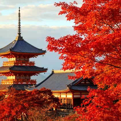 日本大阪+京都+东京7日6晚私家团 日本大阪+京都+东京7日6晚私家团